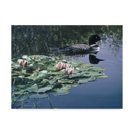 TRADEMARK FINE ART Ron Parker 'Loon And Lilies' Canvas Art, 24x32 ALI32378-C2432GG